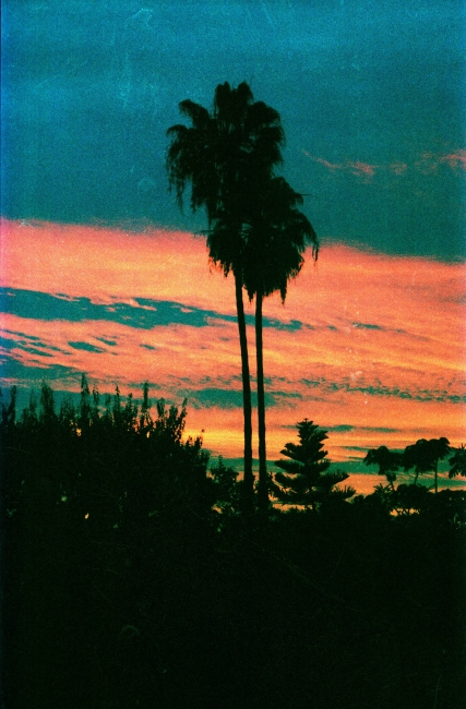 30x40_2015_0201_palm-tree_sunset_no2 copy